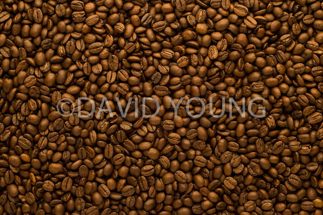 coffee beans01