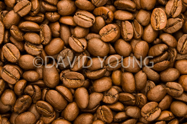 coffee beans03